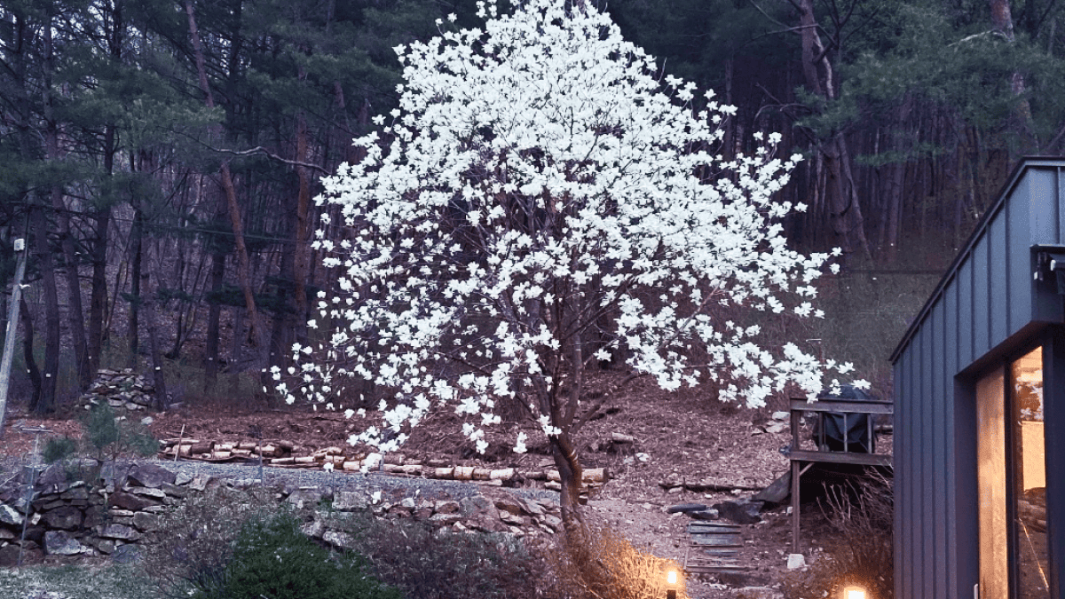 제니캠핑장 전경