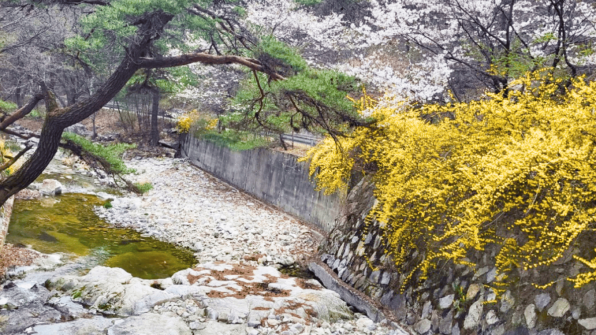 제니캠핑장 전경