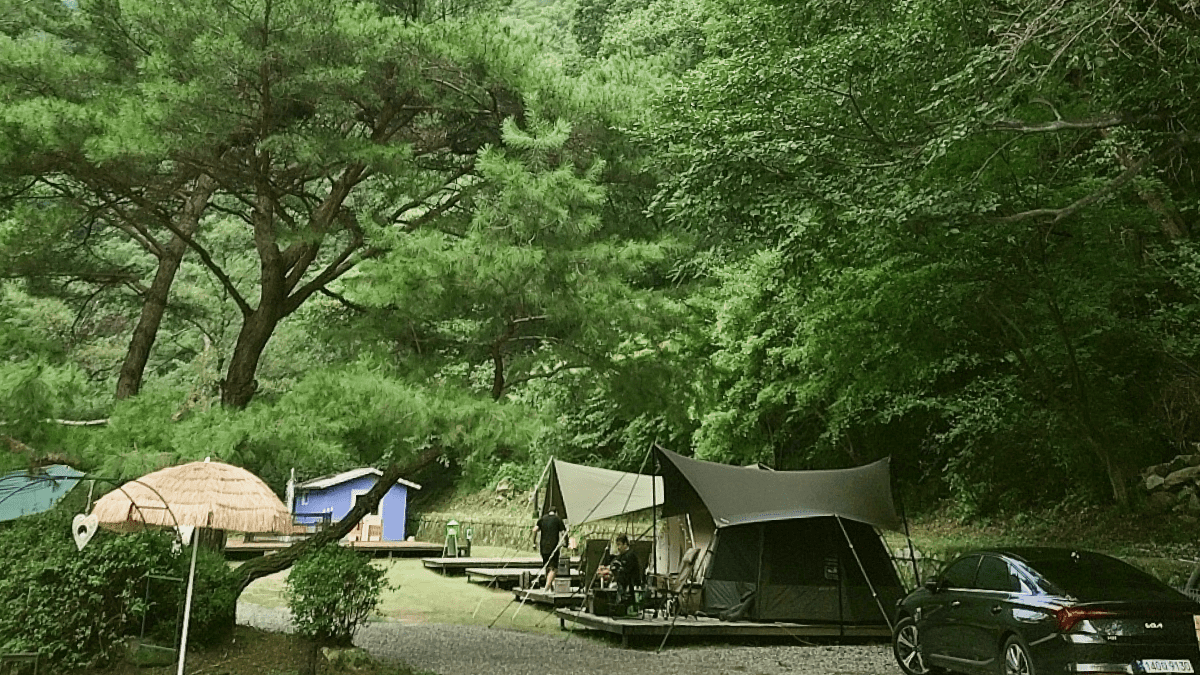 제니캠핑장 전경