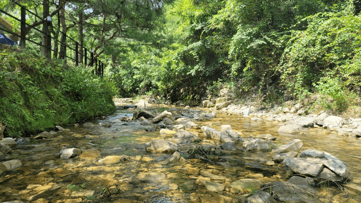 제니캠핑장 전경