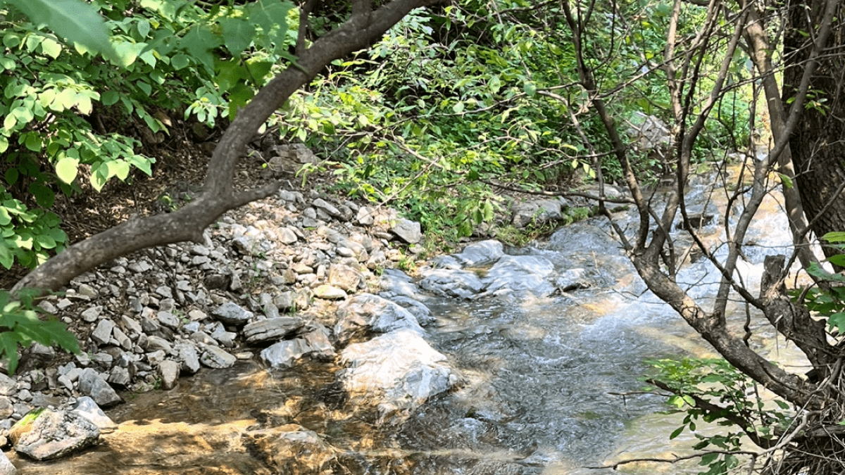 제니캠핑장 전경